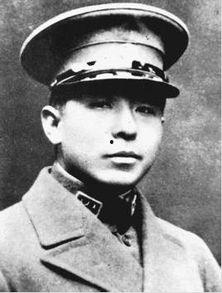 张学良资料,东北军领袖与民国风云录